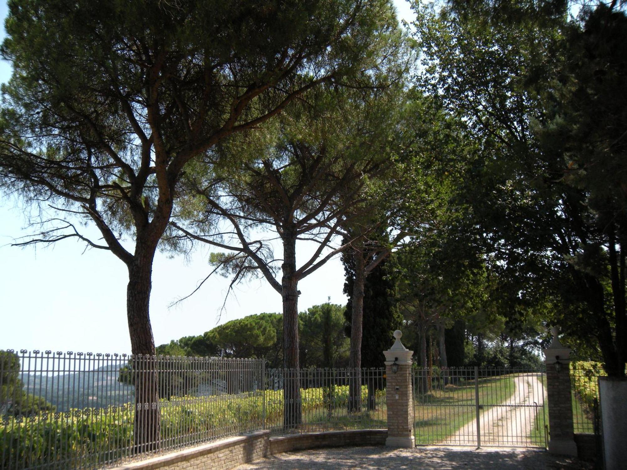 Il Pignocco Country House Santa Veneranda Exteriér fotografie