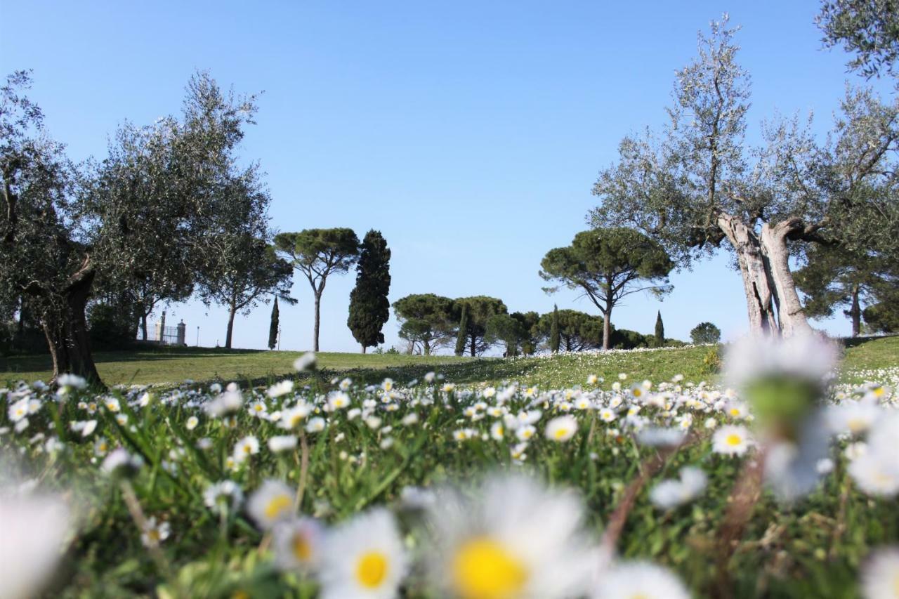 Il Pignocco Country House Santa Veneranda Exteriér fotografie